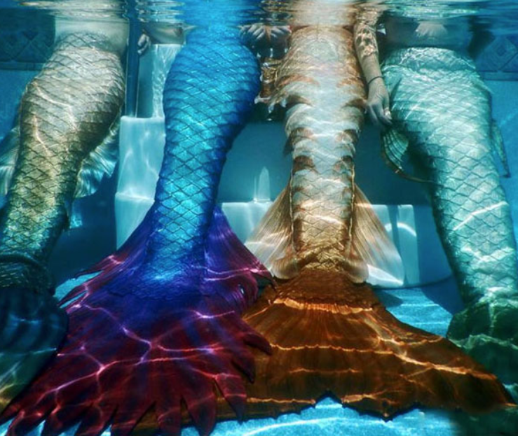 mermaid_tails2